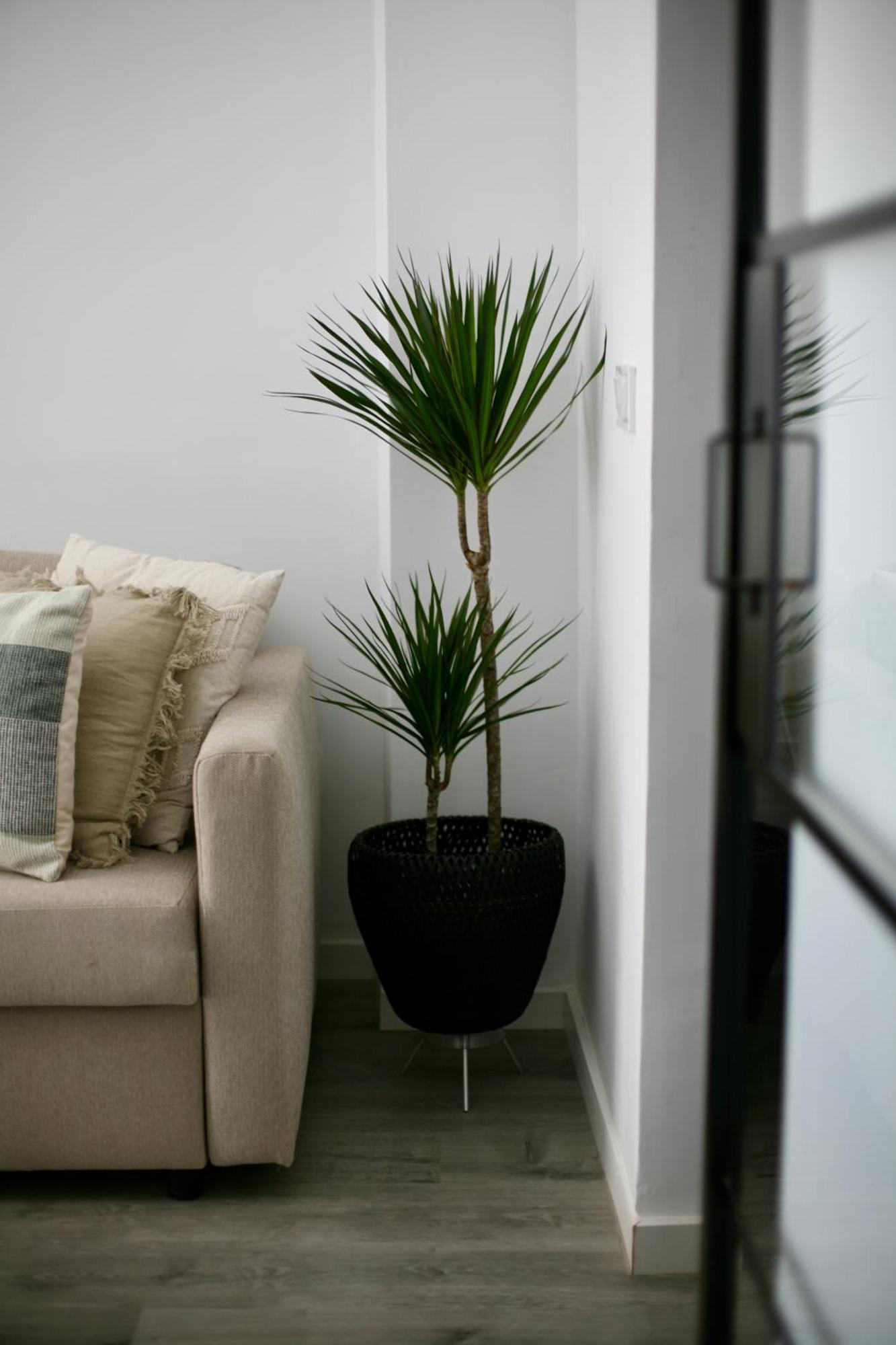 The Numid King Apartman Málaga Kültér fotó